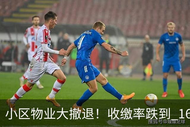 小区物业大撤退！收缴率跌到 16%，售价数百万住宅恐变贫民窟